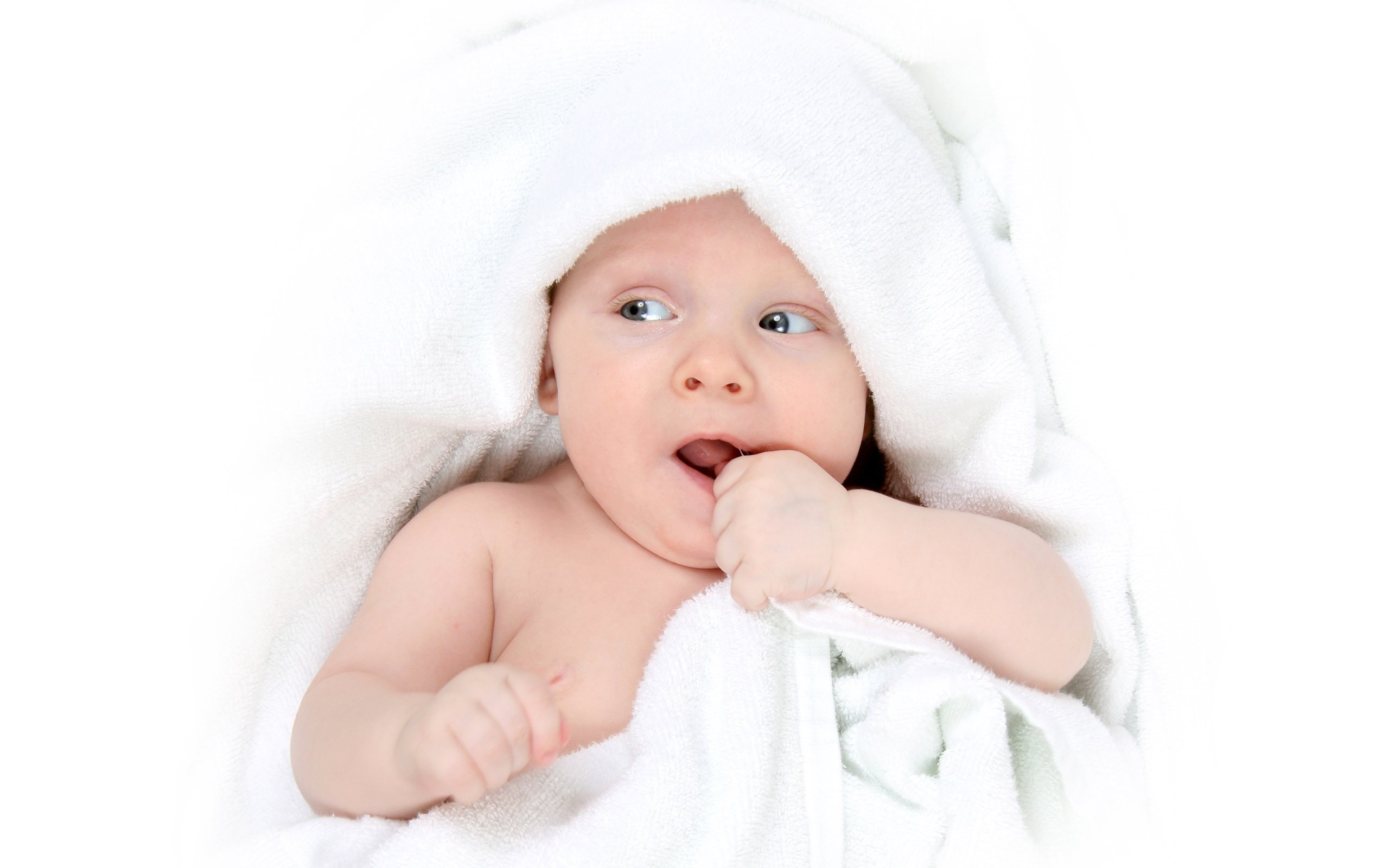 泰州借卵机构试管婴儿胚胎成功